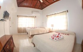 Van Villa Guesthouse